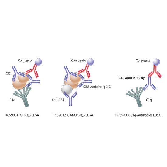 circulating immunocomplex (cic) test
